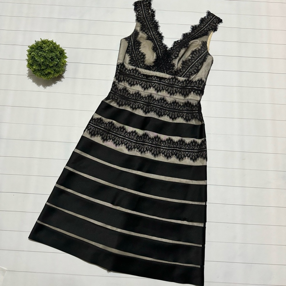 Xscape Black Tan Lace Striped Formal Dress Size 6 Stephanie Meyer Red Carpet